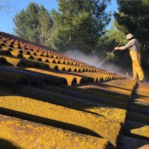 Roof Power washing and cleaning in Laguna Niguel, CA